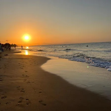 El Palmar 183 *